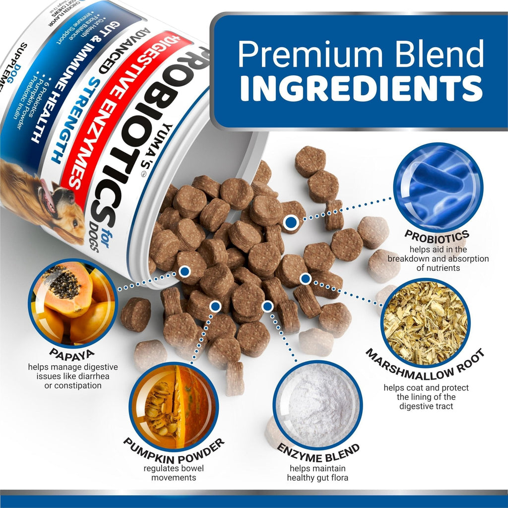 Probiotic Fiber Chews for Dogs — 170 Count - Mascotitas