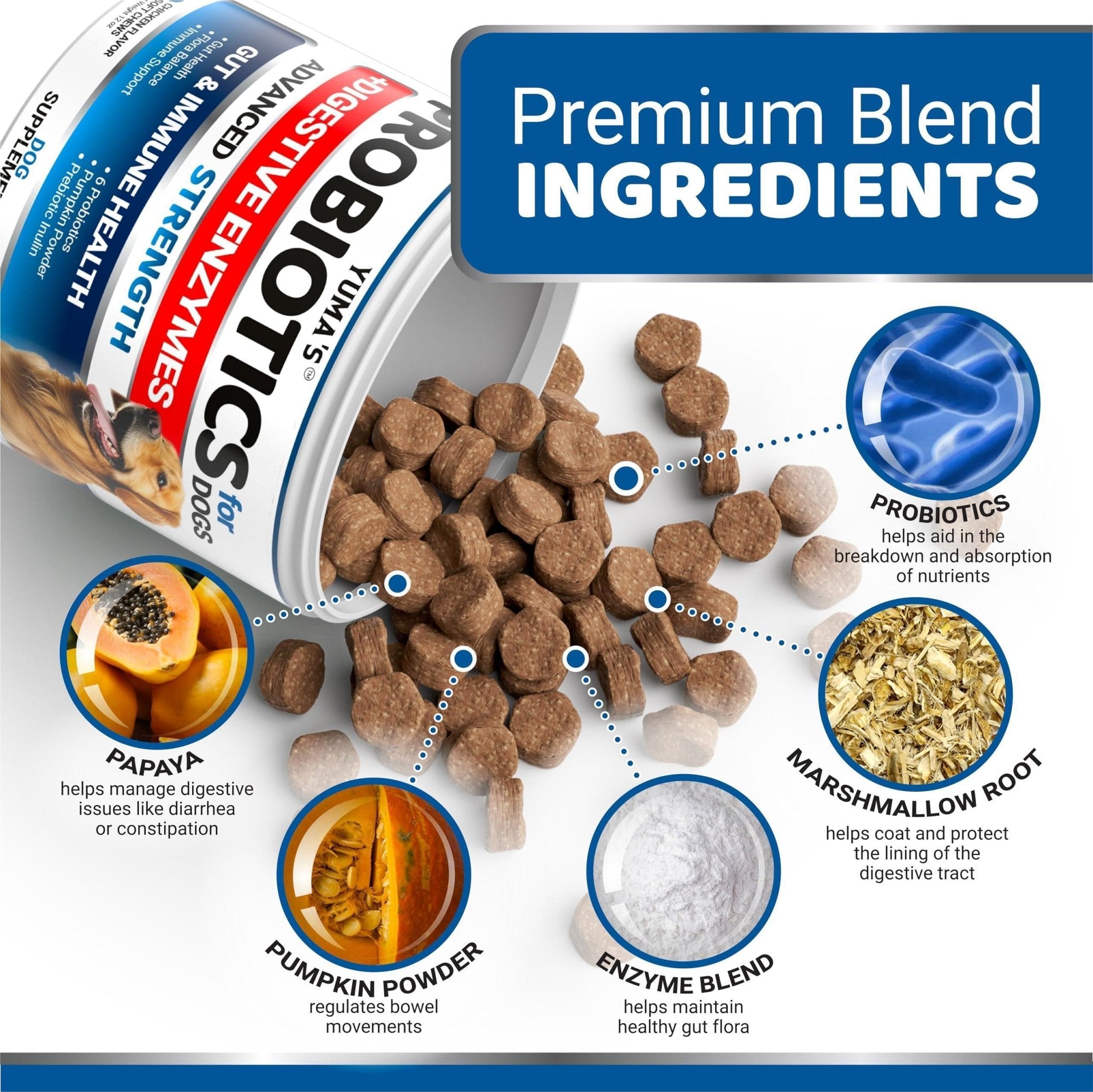 Probiotic Fiber Chews for Dogs — 170 Count - Mascotitas