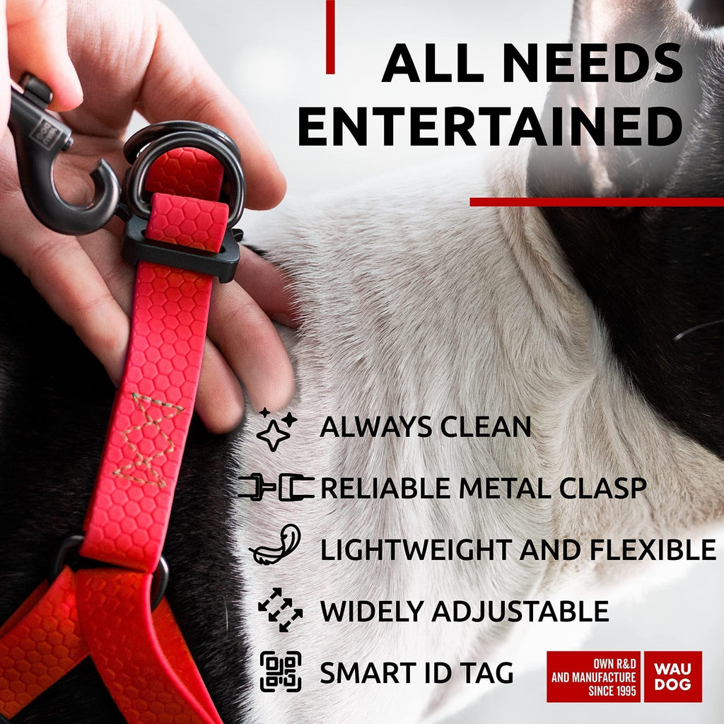 Red Waterproof Dog Harness Adjustable for Small Dogs S Size 1622 inch - Mascotitas