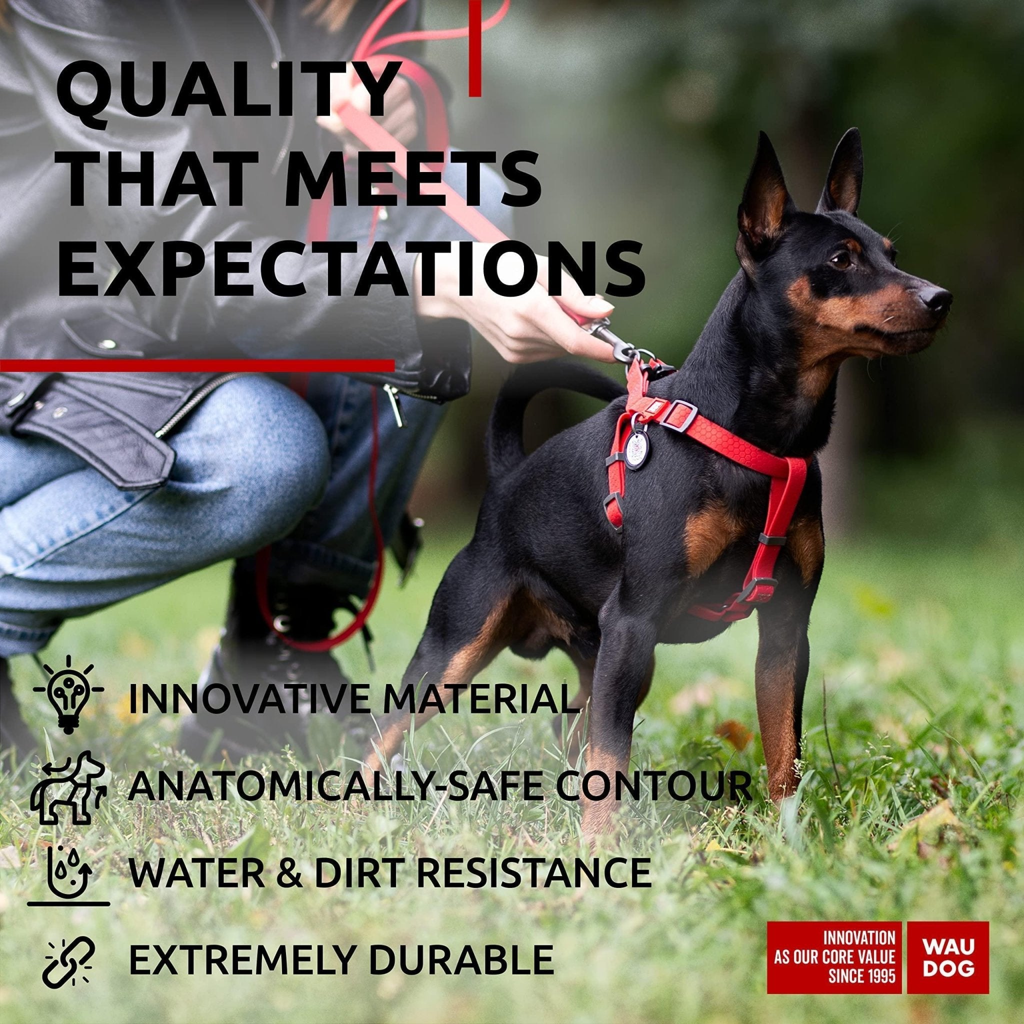 Red Waterproof Dog Harness Adjustable for Small Dogs S Size 1622 inch - Mascotitas
