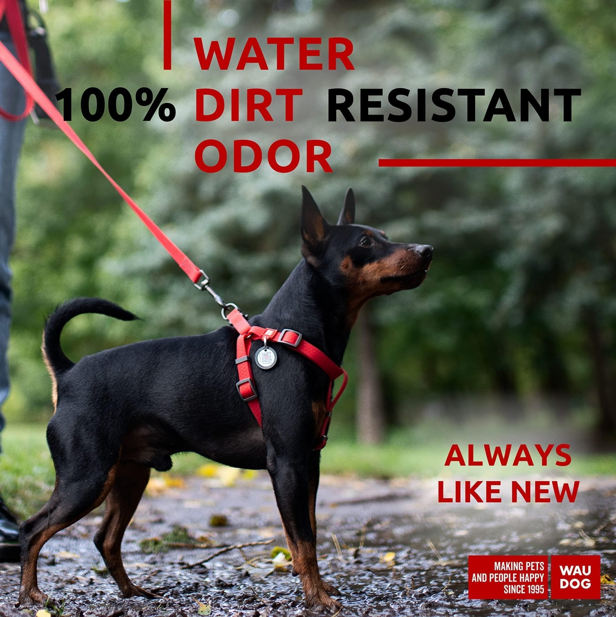 Red Waterproof Dog Harness Adjustable for Small Dogs S Size 1622 inch - Mascotitas