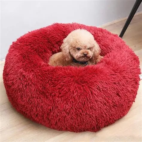 Round plush beds for small dogs and cats - Mascotitas