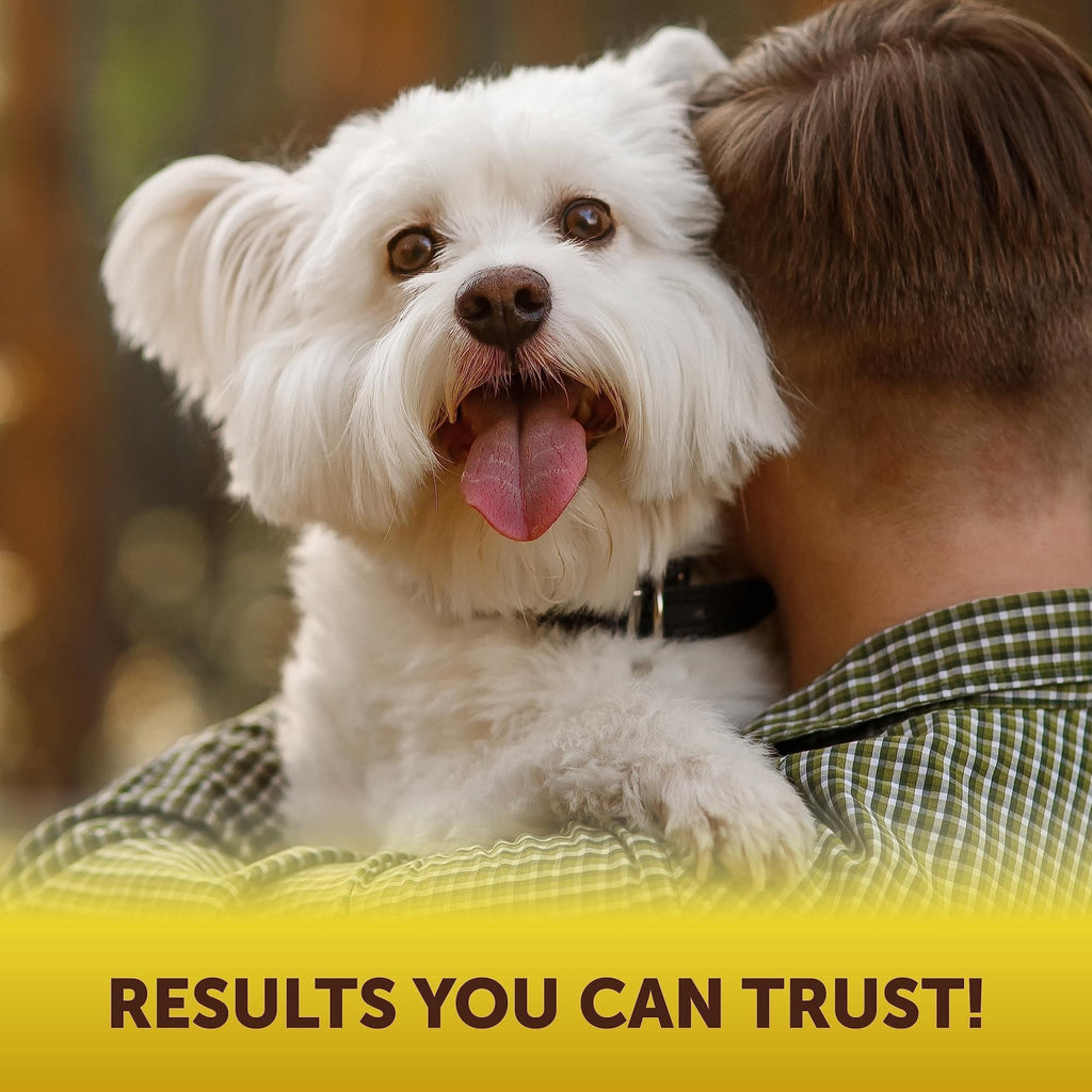 Scoot Stopper Chews — Anal Gland Support - Mascotitas