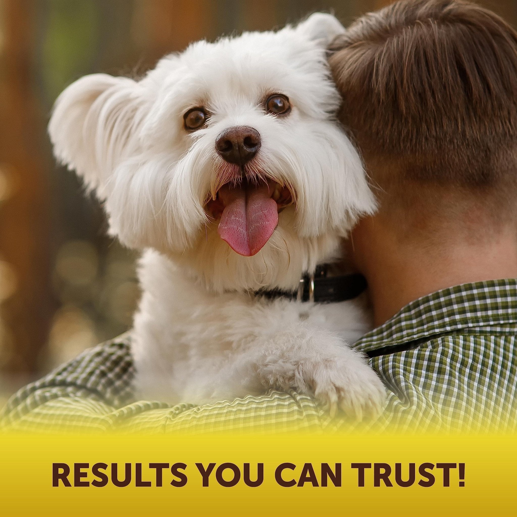 Scoot Stopper Chews — Anal Gland Support - Mascotitas