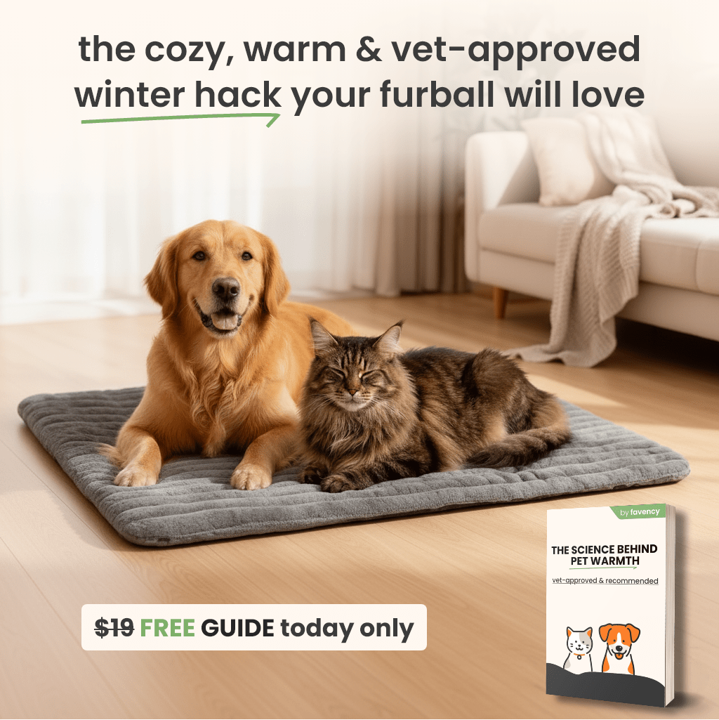 Self - Warming Pet Mat - Mascotitas