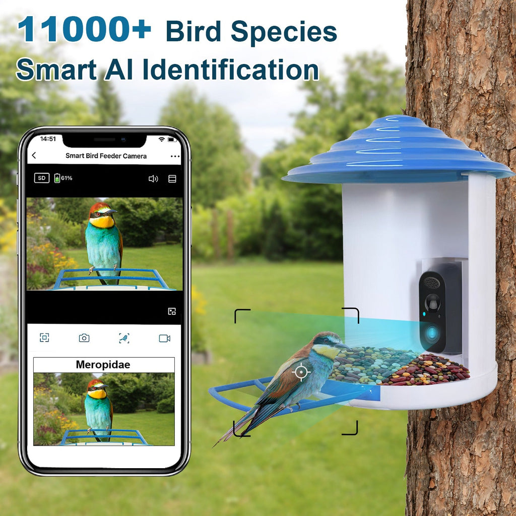 Smart Bird Feeder with Solar - Powered Camera - Mascotitas