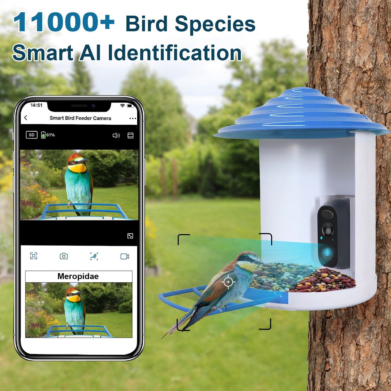 Smart Bird Feeder with Solar - Powered Camera - Mascotitas