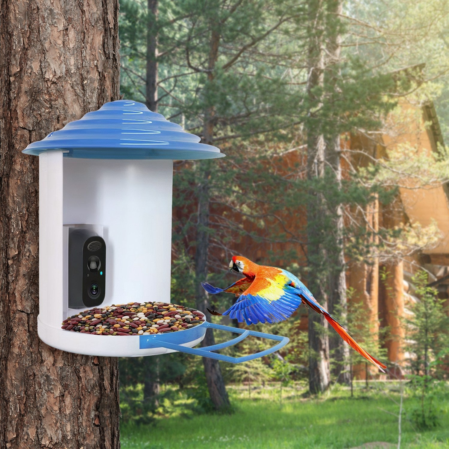 Smart Bird Feeder with Solar - Powered Camera - Mascotitas