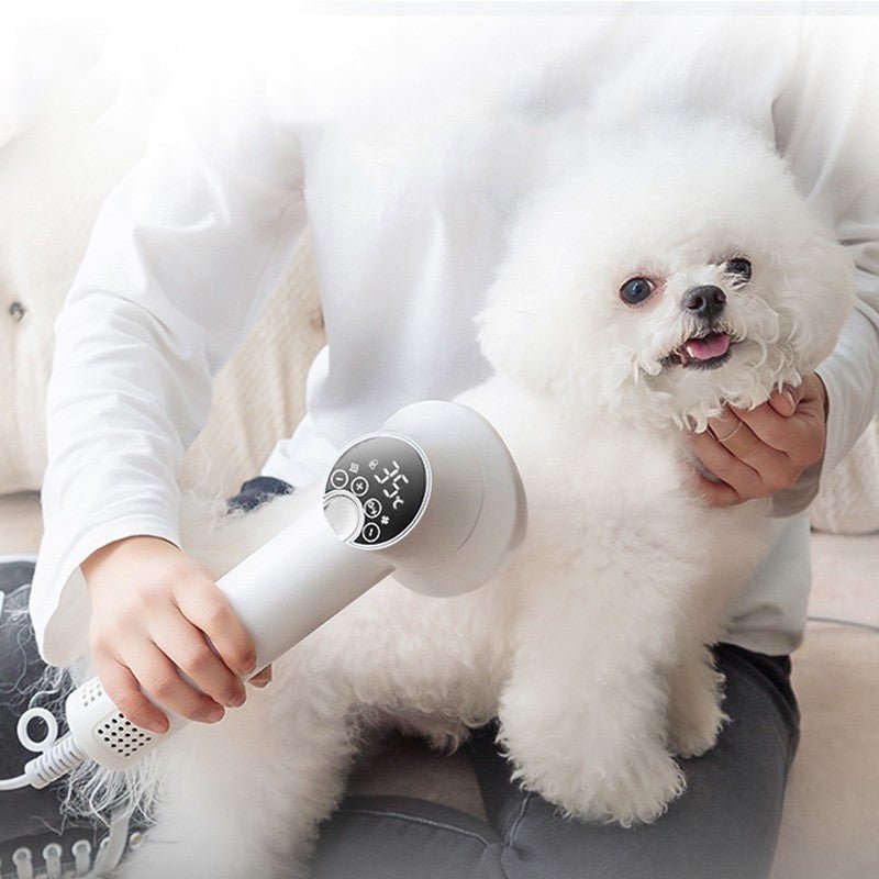 Smart Pet Hair Dryer Dog Golden Retriever Cat Grooming Hairdressing Blow & Comb Silent No Harm Pet Cleaning Supplies Pet Products - Mascotitas
