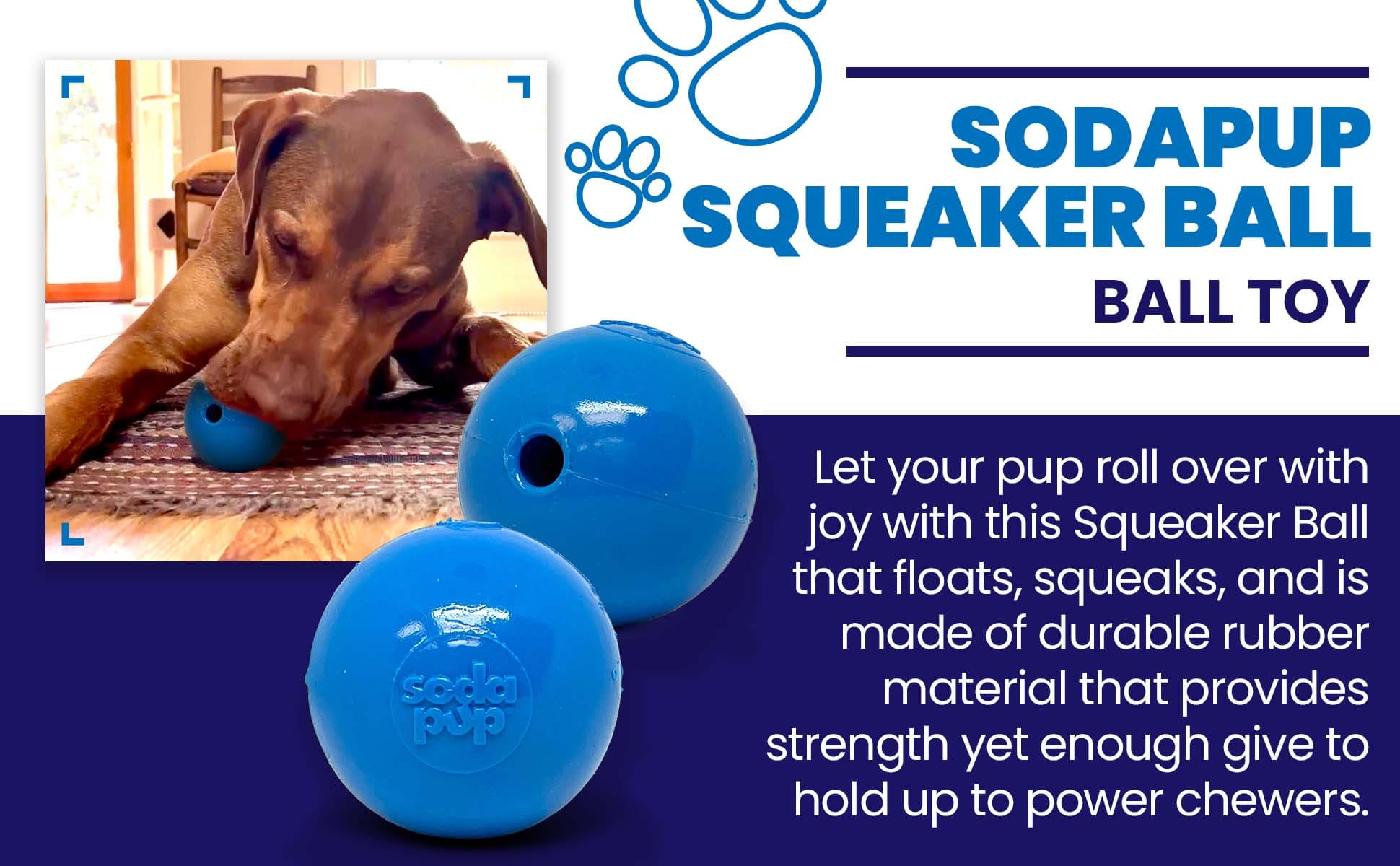 Squeak Ball - Durable Squeaky Dog Toy, Floats, Chew Toy | USA Made - Mascotitas