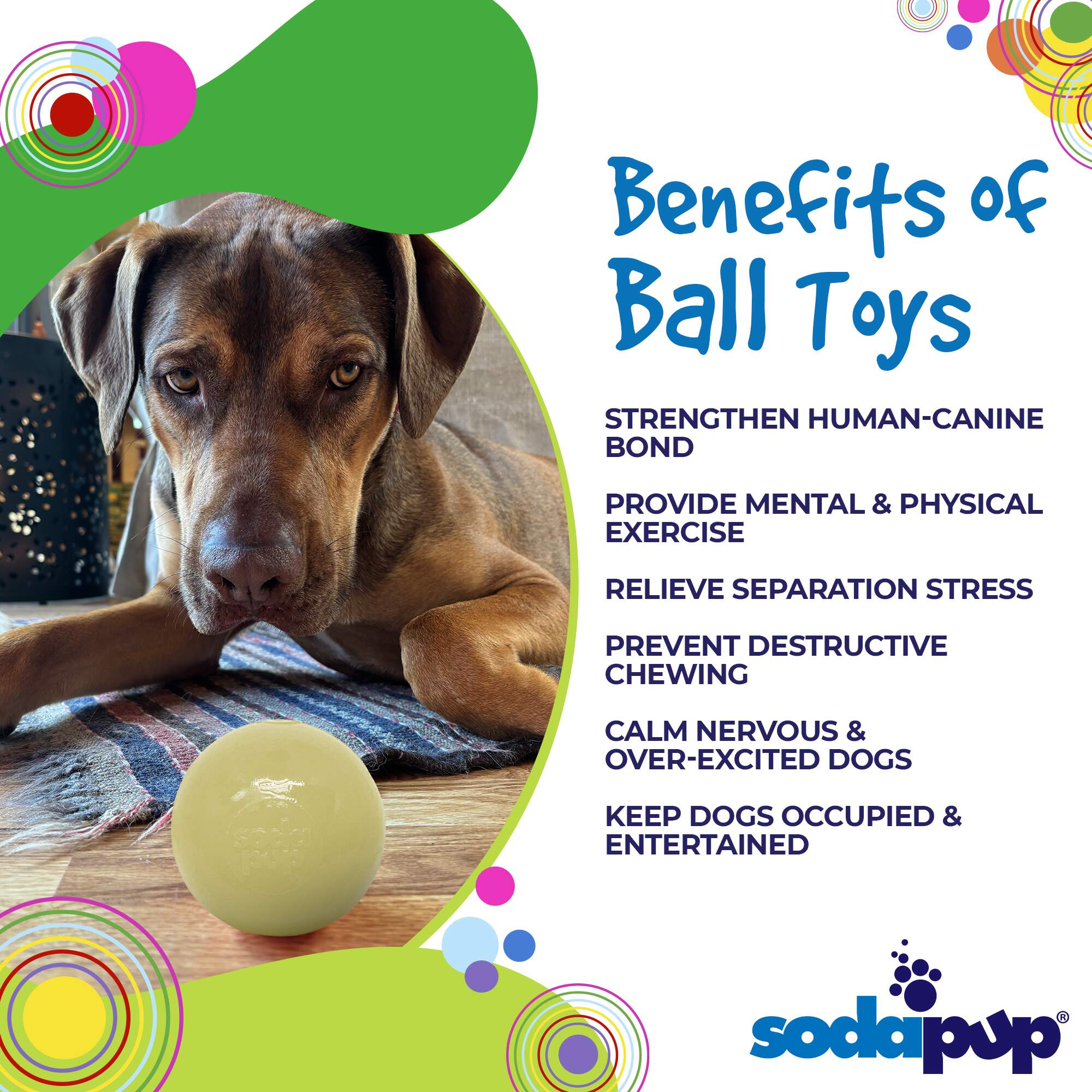 Squeak Ball - Durable Squeaky Dog Toy, Floats, Chew Toy | USA Made - Mascotitas