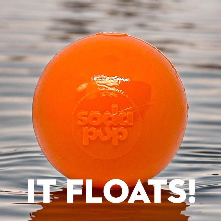 Squeak Ball - Durable Squeaky Dog Toy, Floats, Chew Toy | USA Made - Mascotitas