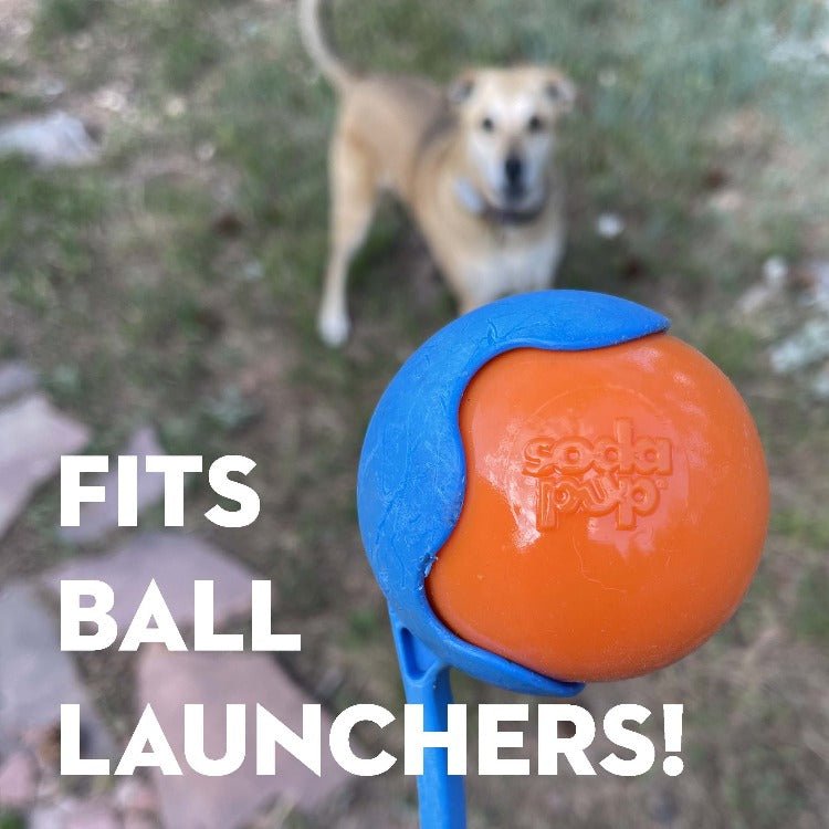 Squeak Ball - Durable Squeaky Dog Toy, Floats, Chew Toy | USA Made - Mascotitas