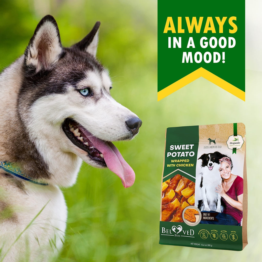 Sweet Potato & Chicken Chews — Grain Free - Mascotitas