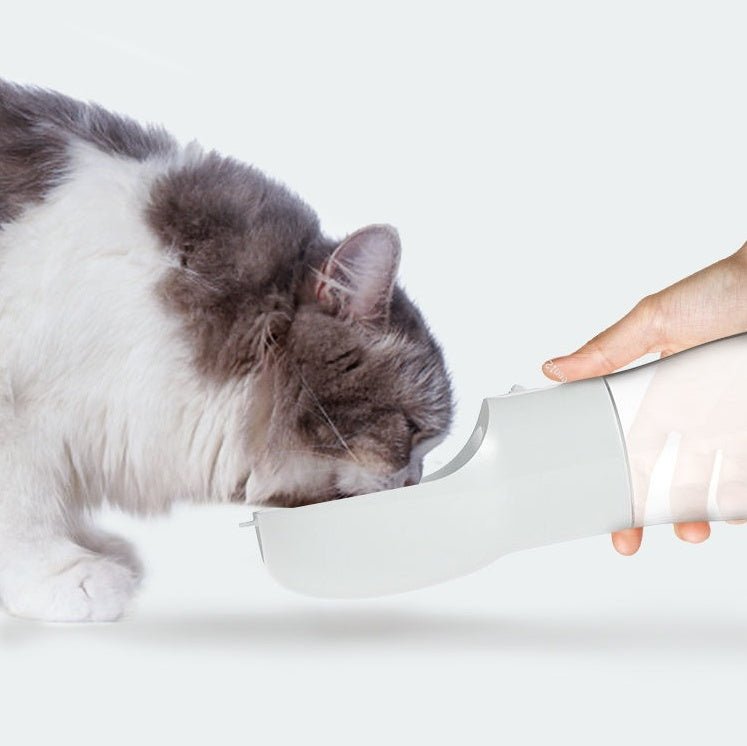 Traveling Out Portable Dog Water Dispenser - Mascotitas