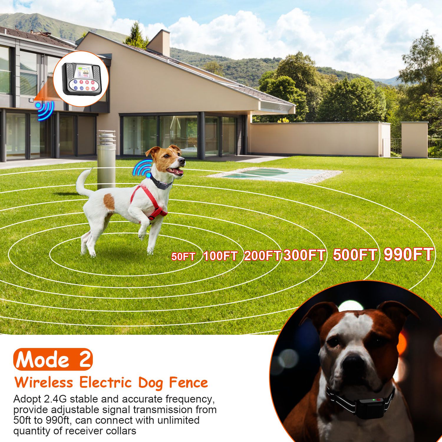 Wireless Dog Fence & Training Collar System - Mascotitas