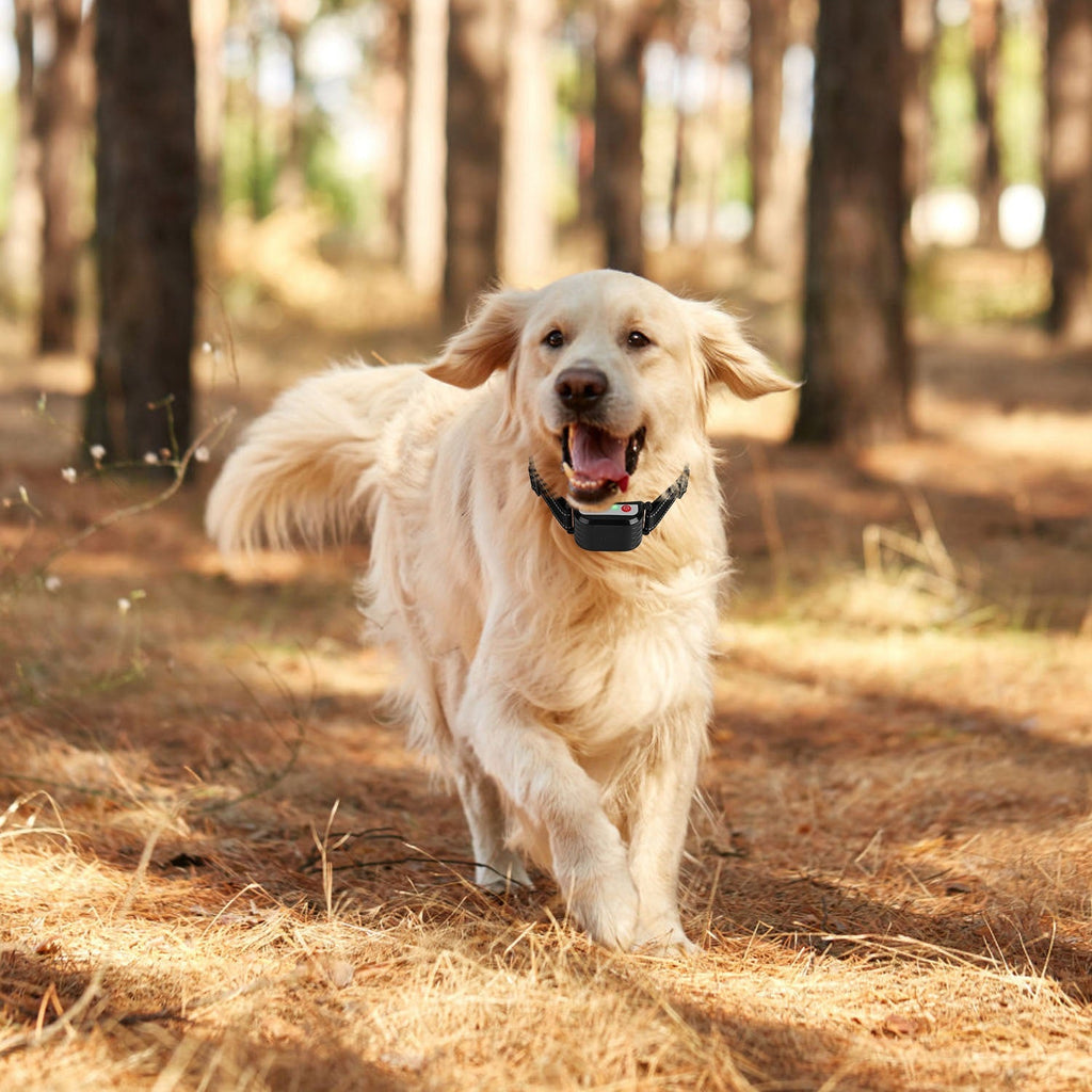 Wireless Dog Fence & Training Collar System - Mascotitas